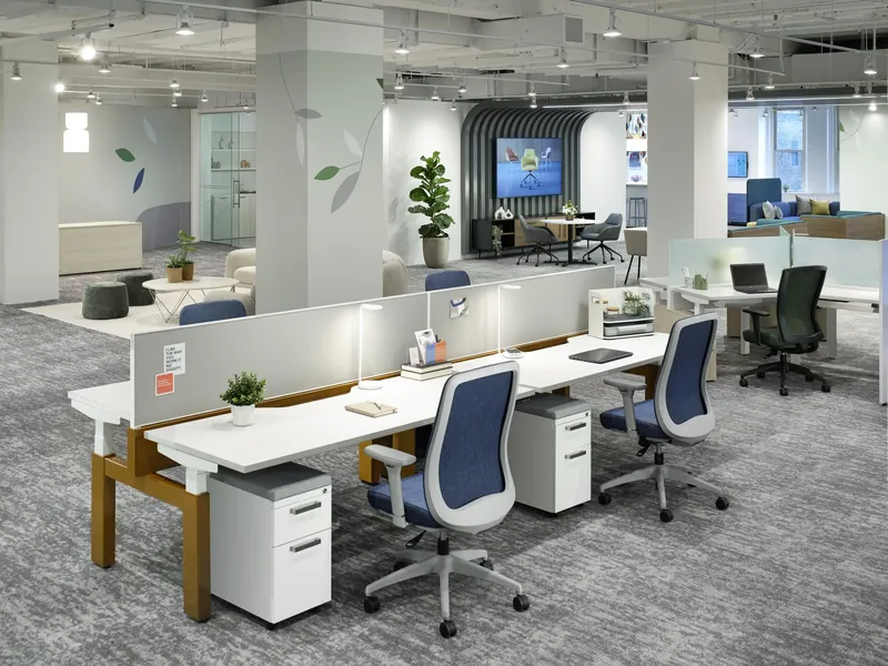 Benching, manufacturer photo #30