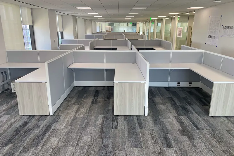 Rows of panel workstations, nonprofit health organization, Los Angeles